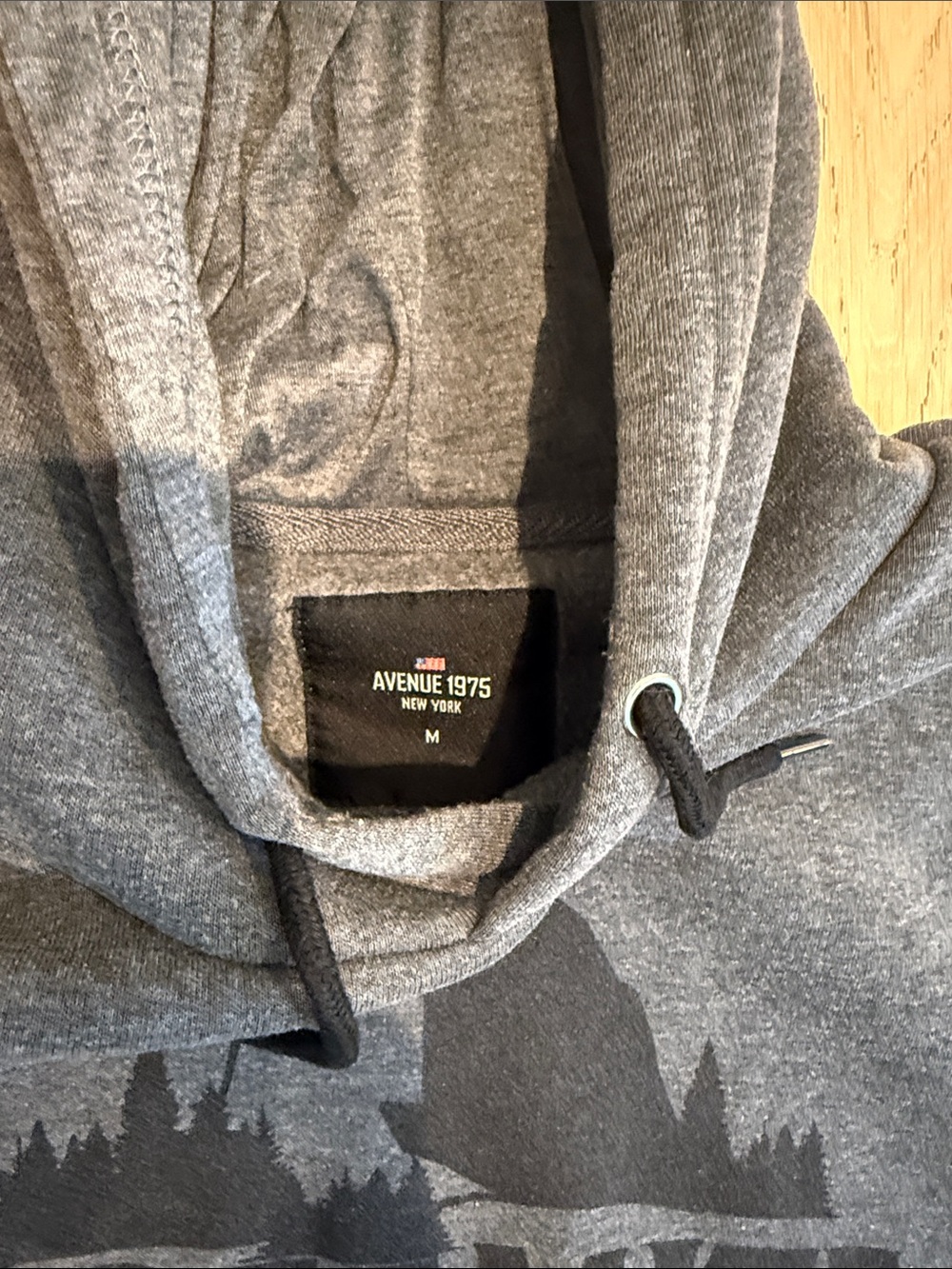 Yosemite Gray Hooded Sweatshirt - Picture 3 of 3